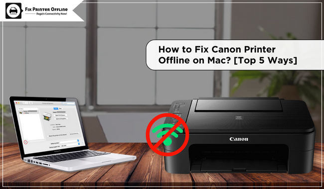 How to Fix Canon Printer Offline on Mac? [Top 5 Ways]